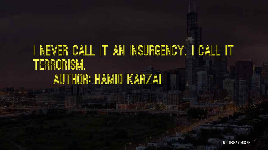 Hamid Karzai Quotes: I Never Call It An Insurgency. I Call It Terrorism.