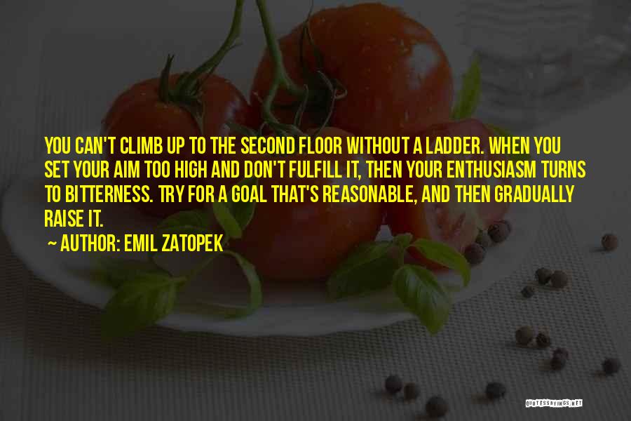 Emil Zatopek Quotes: You Can't Climb Up To The Second Floor Without A Ladder. When You Set Your Aim Too High And Don't