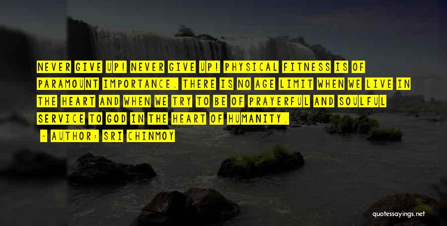 Sri Chinmoy Quotes: Never Give Up! Never Give Up! Physical Fitness Is Of Paramount Importance. There Is No Age Limit When We Live