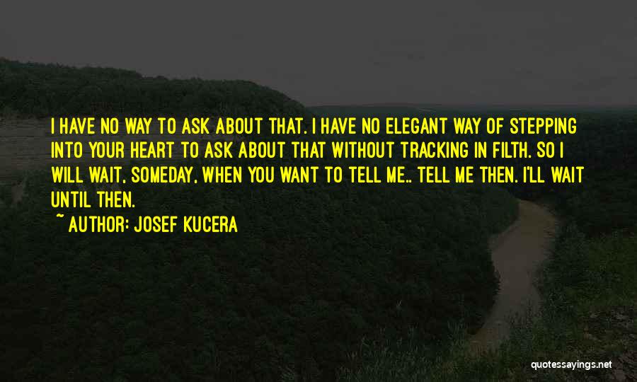 Josef Kucera Quotes: I Have No Way To Ask About That. I Have No Elegant Way Of Stepping Into Your Heart To Ask