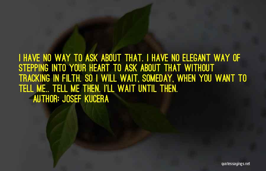 Josef Kucera Quotes: I Have No Way To Ask About That. I Have No Elegant Way Of Stepping Into Your Heart To Ask