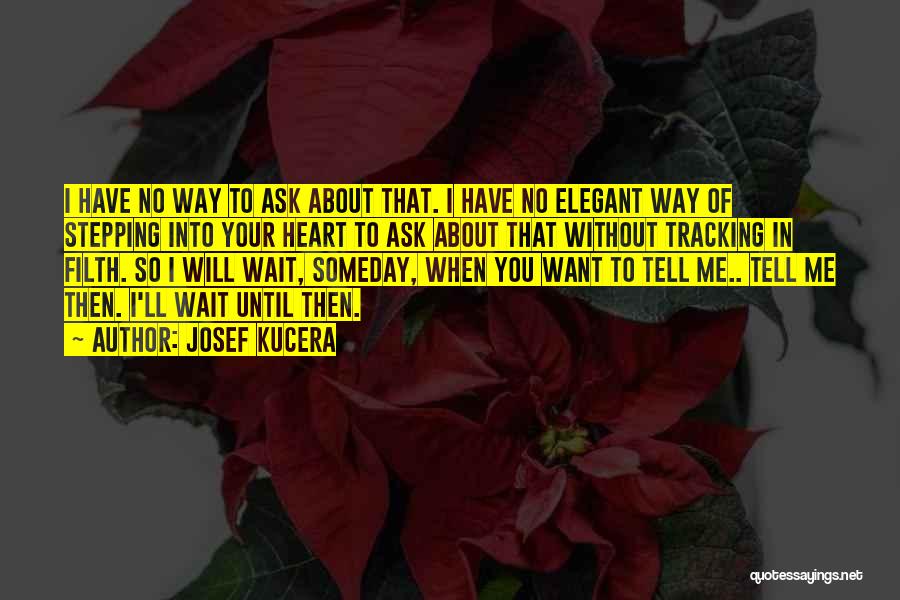 Josef Kucera Quotes: I Have No Way To Ask About That. I Have No Elegant Way Of Stepping Into Your Heart To Ask