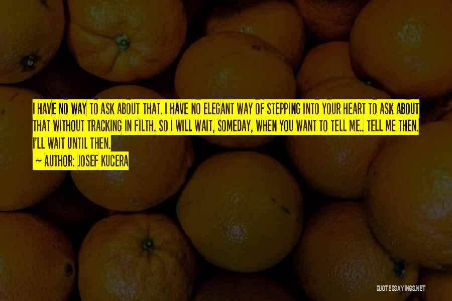 Josef Kucera Quotes: I Have No Way To Ask About That. I Have No Elegant Way Of Stepping Into Your Heart To Ask