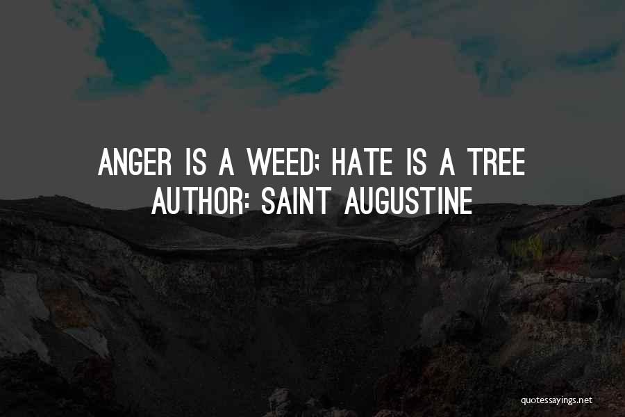 Saint Augustine Quotes: Anger Is A Weed; Hate Is A Tree
