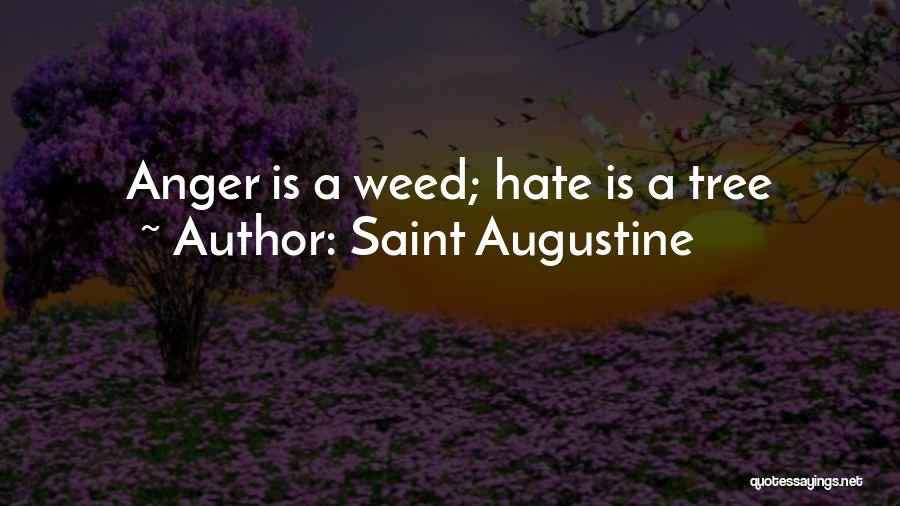 Saint Augustine Quotes: Anger Is A Weed; Hate Is A Tree