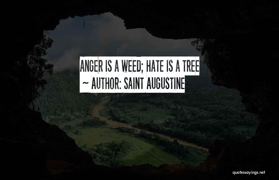 Saint Augustine Quotes: Anger Is A Weed; Hate Is A Tree
