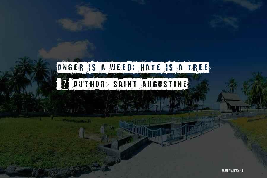 Saint Augustine Quotes: Anger Is A Weed; Hate Is A Tree