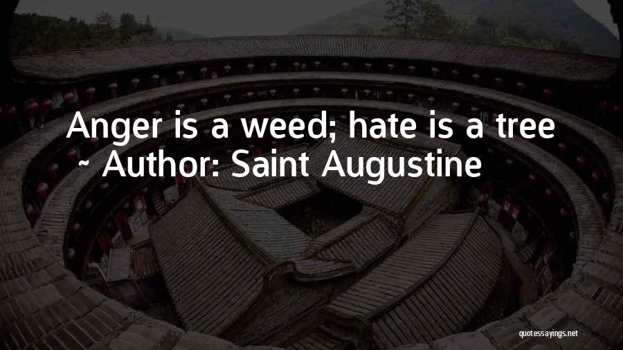 Saint Augustine Quotes: Anger Is A Weed; Hate Is A Tree