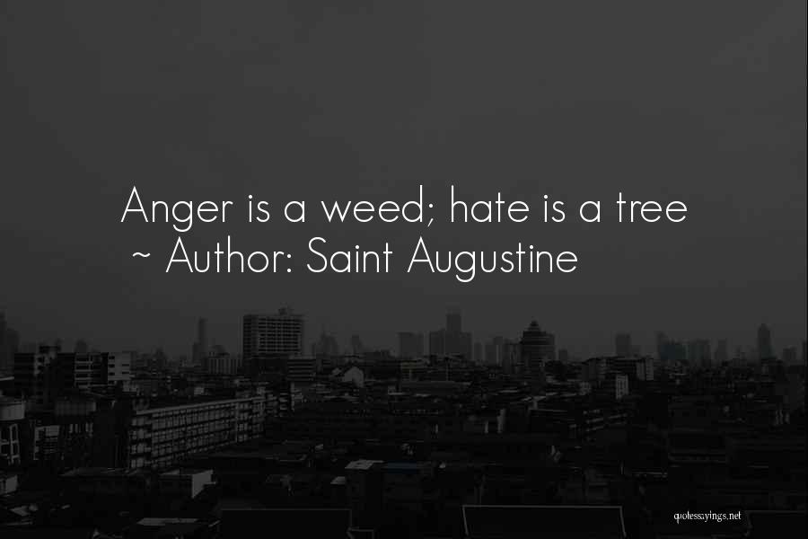 Saint Augustine Quotes: Anger Is A Weed; Hate Is A Tree