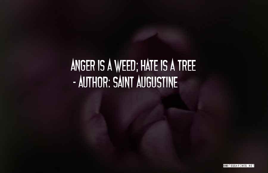 Saint Augustine Quotes: Anger Is A Weed; Hate Is A Tree