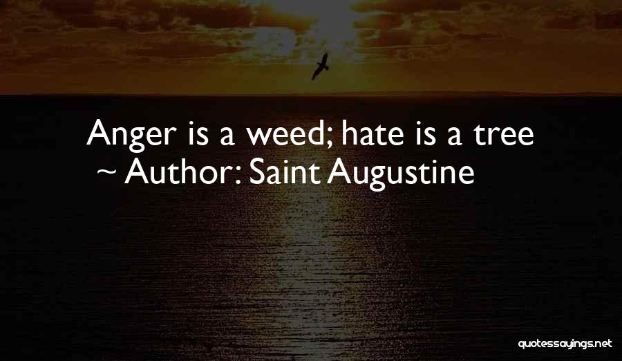 Saint Augustine Quotes: Anger Is A Weed; Hate Is A Tree