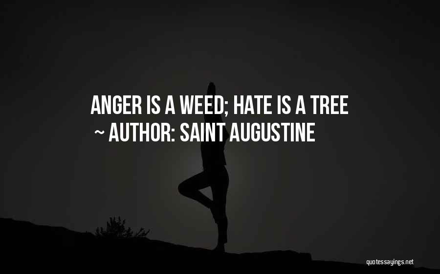 Saint Augustine Quotes: Anger Is A Weed; Hate Is A Tree