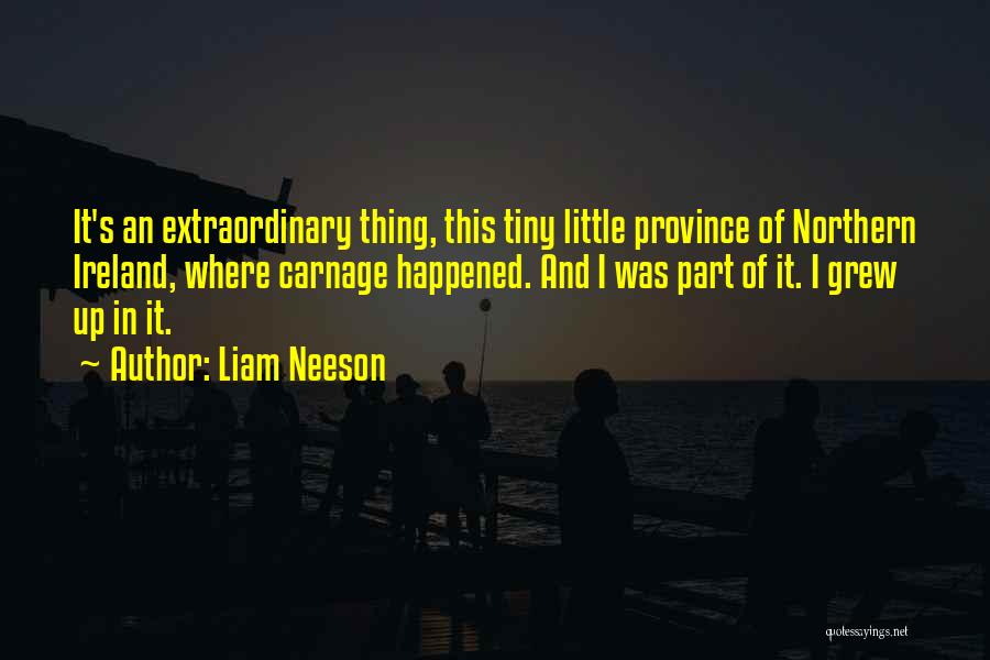 Liam Neeson Quotes: It's An Extraordinary Thing, This Tiny Little Province Of Northern Ireland, Where Carnage Happened. And I Was Part Of It.