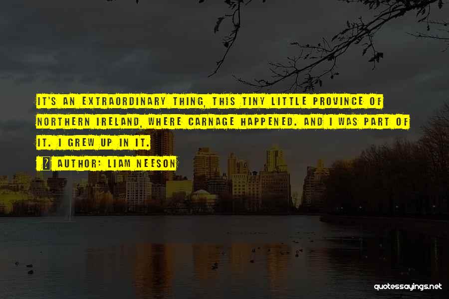 Liam Neeson Quotes: It's An Extraordinary Thing, This Tiny Little Province Of Northern Ireland, Where Carnage Happened. And I Was Part Of It.