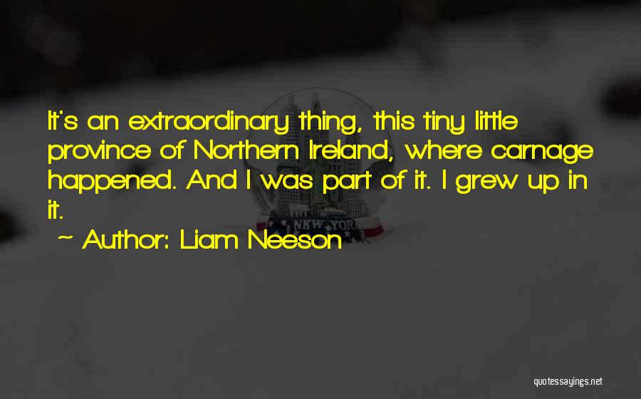 Liam Neeson Quotes: It's An Extraordinary Thing, This Tiny Little Province Of Northern Ireland, Where Carnage Happened. And I Was Part Of It.