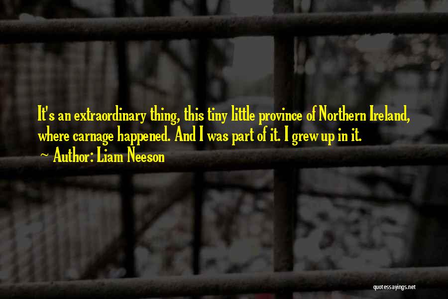 Liam Neeson Quotes: It's An Extraordinary Thing, This Tiny Little Province Of Northern Ireland, Where Carnage Happened. And I Was Part Of It.