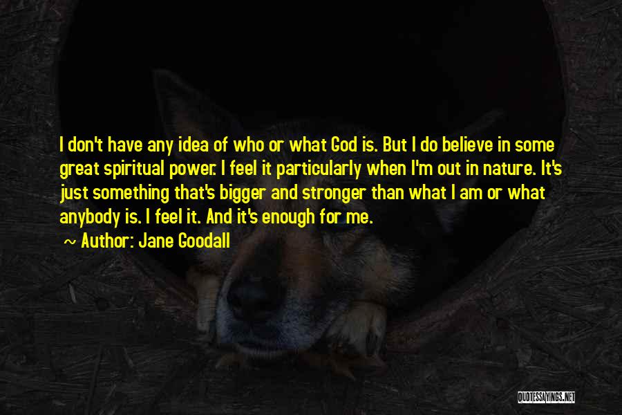 Jane Goodall Quotes: I Don't Have Any Idea Of Who Or What God Is. But I Do Believe In Some Great Spiritual Power.