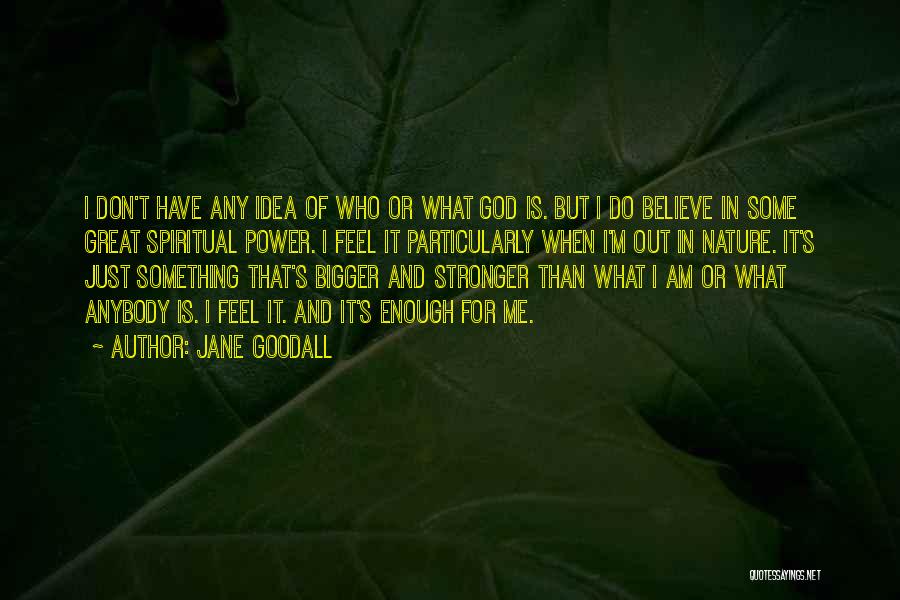 Jane Goodall Quotes: I Don't Have Any Idea Of Who Or What God Is. But I Do Believe In Some Great Spiritual Power.