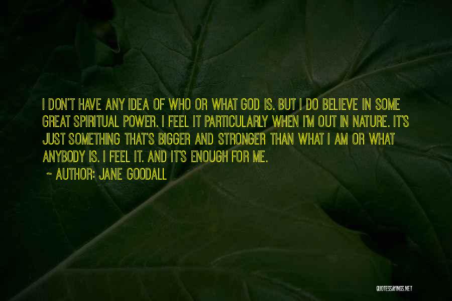 Jane Goodall Quotes: I Don't Have Any Idea Of Who Or What God Is. But I Do Believe In Some Great Spiritual Power.