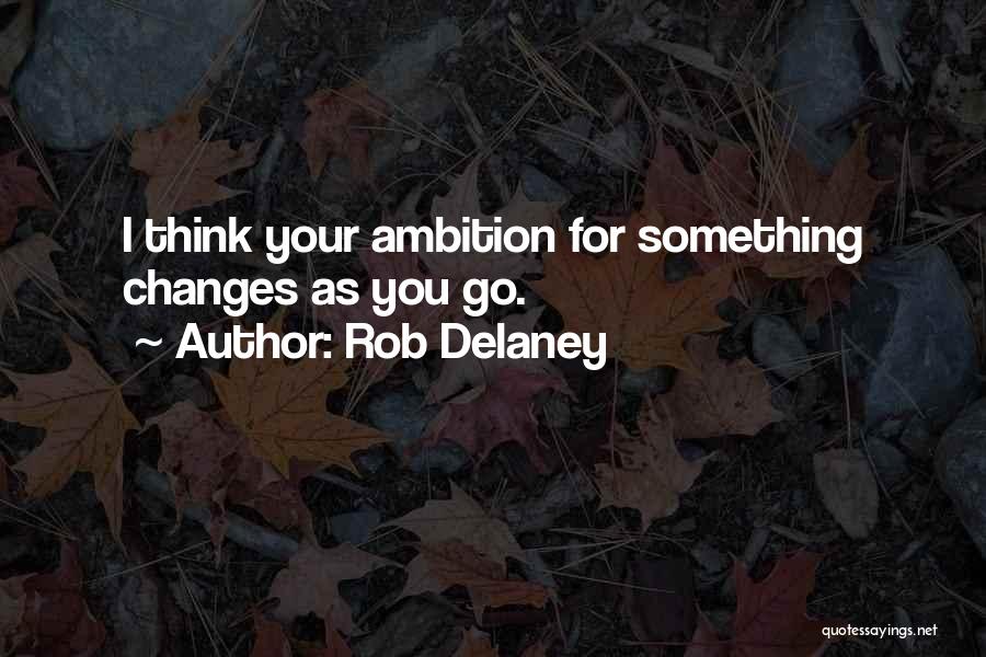 Rob Delaney Quotes: I Think Your Ambition For Something Changes As You Go.