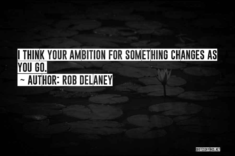 Rob Delaney Quotes: I Think Your Ambition For Something Changes As You Go.