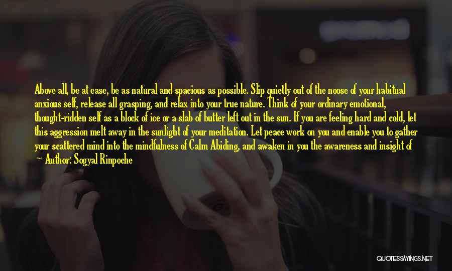 Sogyal Rinpoche Quotes: Above All, Be At Ease, Be As Natural And Spacious As Possible. Slip Quietly Out Of The Noose Of Your