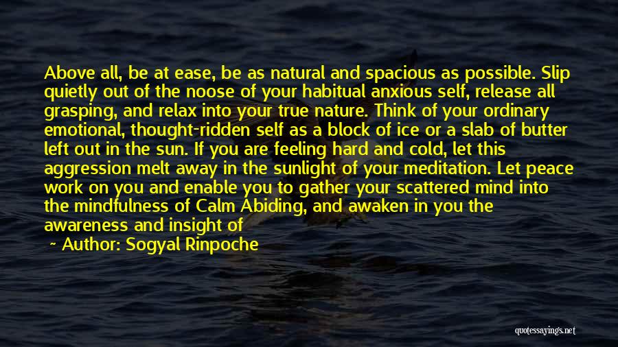 Sogyal Rinpoche Quotes: Above All, Be At Ease, Be As Natural And Spacious As Possible. Slip Quietly Out Of The Noose Of Your