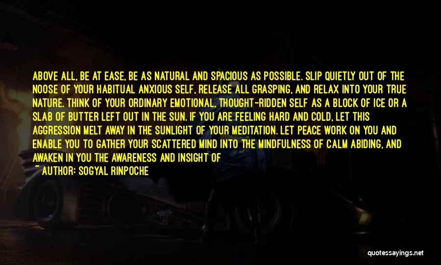 Sogyal Rinpoche Quotes: Above All, Be At Ease, Be As Natural And Spacious As Possible. Slip Quietly Out Of The Noose Of Your
