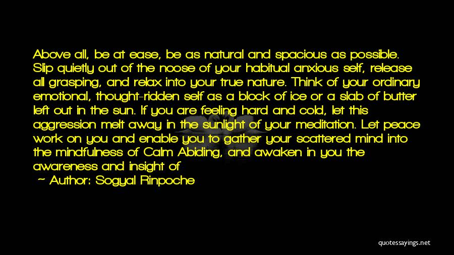 Sogyal Rinpoche Quotes: Above All, Be At Ease, Be As Natural And Spacious As Possible. Slip Quietly Out Of The Noose Of Your