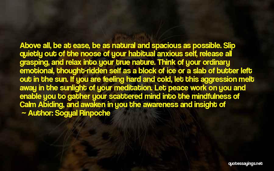 Sogyal Rinpoche Quotes: Above All, Be At Ease, Be As Natural And Spacious As Possible. Slip Quietly Out Of The Noose Of Your