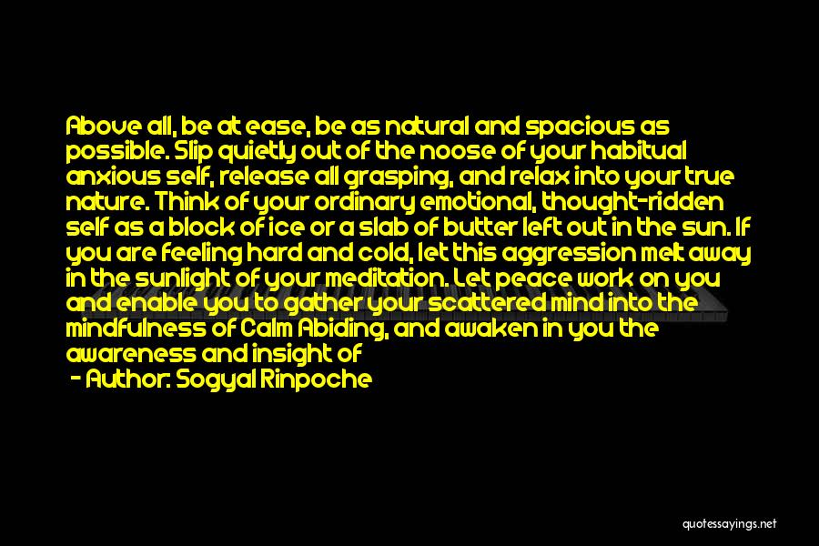 Sogyal Rinpoche Quotes: Above All, Be At Ease, Be As Natural And Spacious As Possible. Slip Quietly Out Of The Noose Of Your