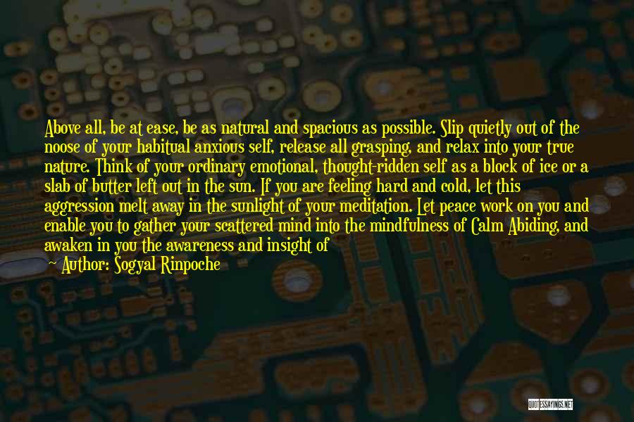 Sogyal Rinpoche Quotes: Above All, Be At Ease, Be As Natural And Spacious As Possible. Slip Quietly Out Of The Noose Of Your