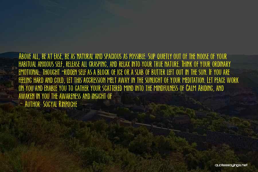 Sogyal Rinpoche Quotes: Above All, Be At Ease, Be As Natural And Spacious As Possible. Slip Quietly Out Of The Noose Of Your