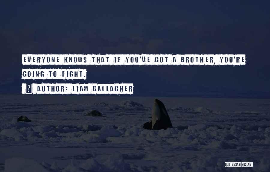 Liam Gallagher Quotes: Everyone Knows That If You've Got A Brother, You're Going To Fight.