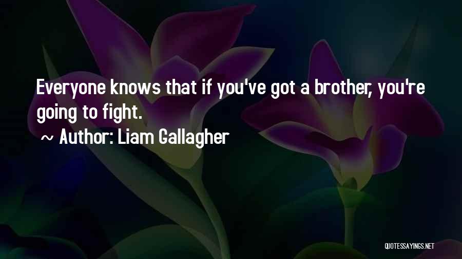 Liam Gallagher Quotes: Everyone Knows That If You've Got A Brother, You're Going To Fight.