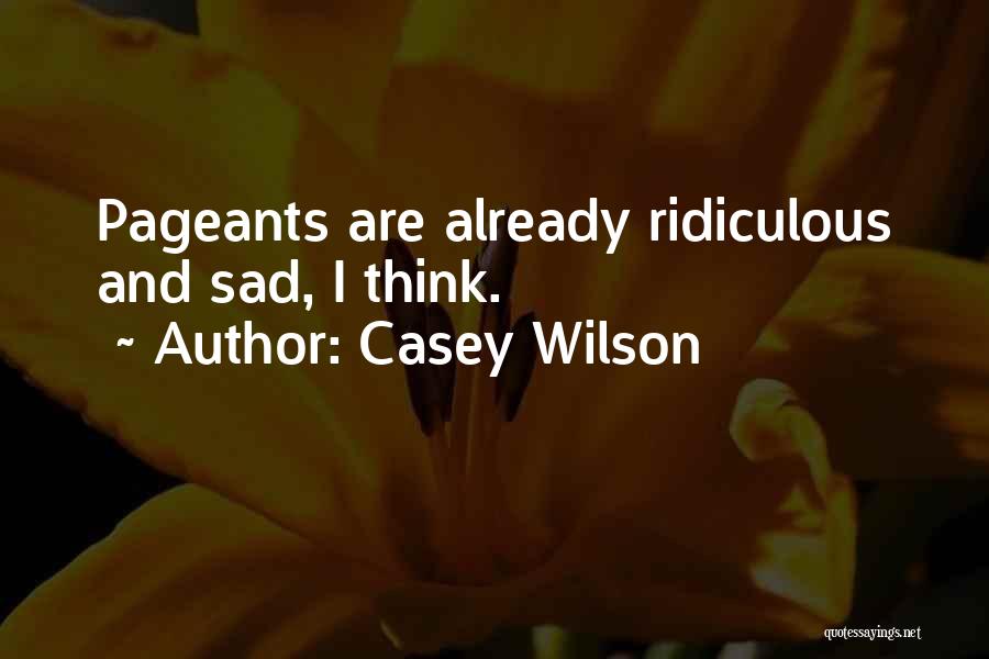 Casey Wilson Quotes: Pageants Are Already Ridiculous And Sad, I Think.