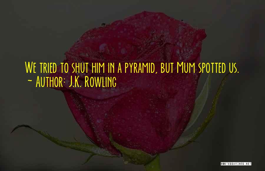J.K. Rowling Quotes: We Tried To Shut Him In A Pyramid, But Mum Spotted Us.