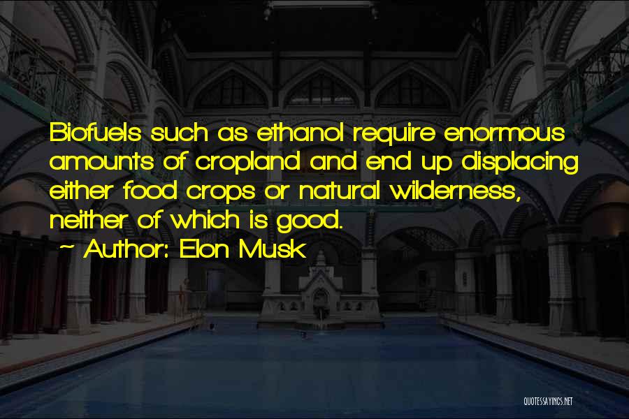 Elon Musk Quotes: Biofuels Such As Ethanol Require Enormous Amounts Of Cropland And End Up Displacing Either Food Crops Or Natural Wilderness, Neither