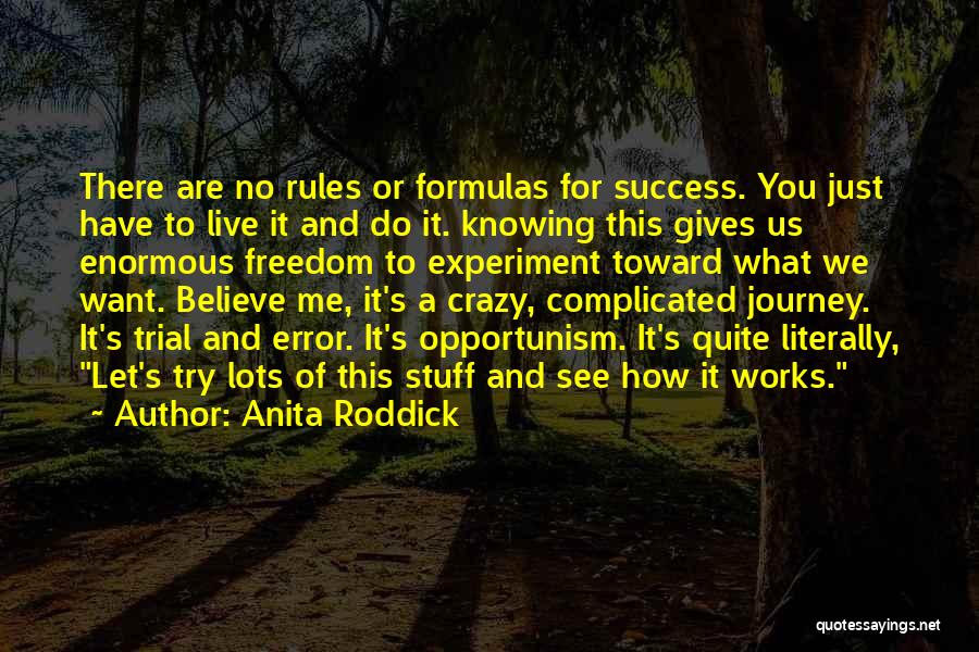 Anita Roddick Quotes: There Are No Rules Or Formulas For Success. You Just Have To Live It And Do It. Knowing This Gives