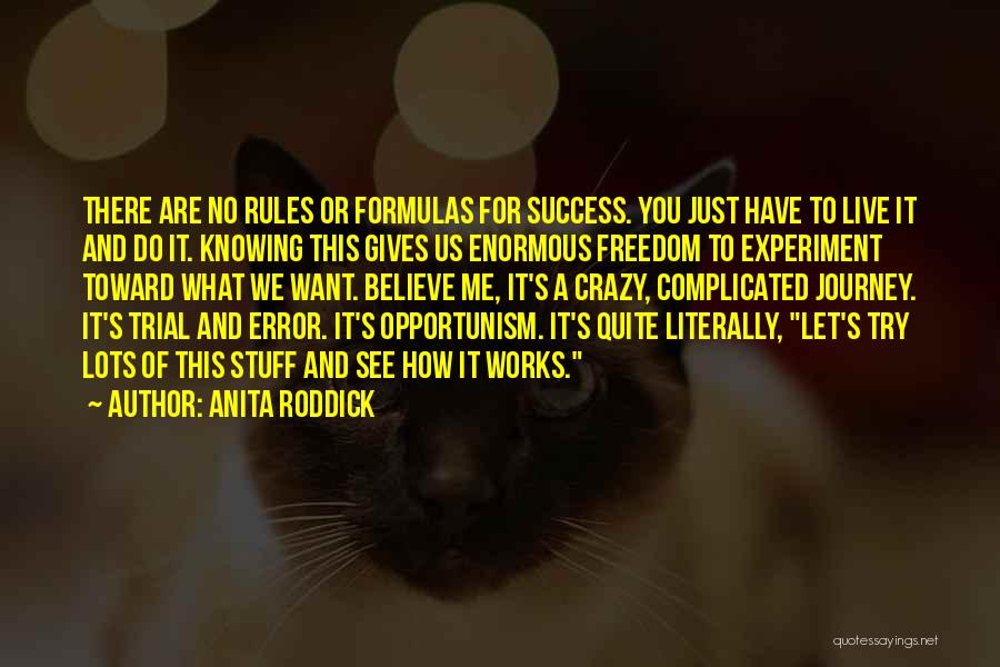 Anita Roddick Quotes: There Are No Rules Or Formulas For Success. You Just Have To Live It And Do It. Knowing This Gives