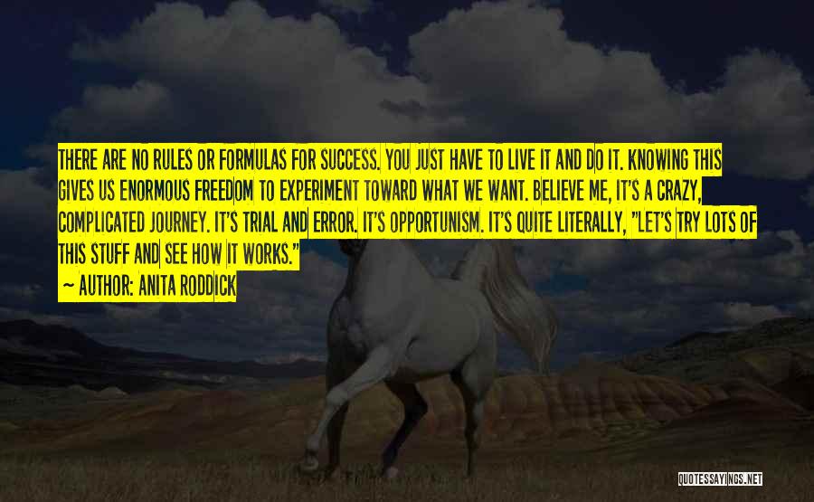 Anita Roddick Quotes: There Are No Rules Or Formulas For Success. You Just Have To Live It And Do It. Knowing This Gives