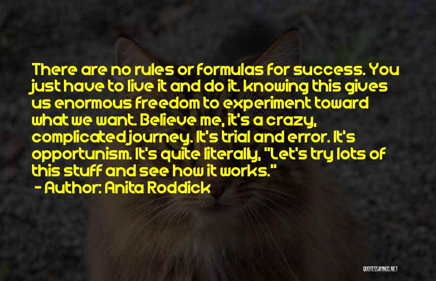 Anita Roddick Quotes: There Are No Rules Or Formulas For Success. You Just Have To Live It And Do It. Knowing This Gives