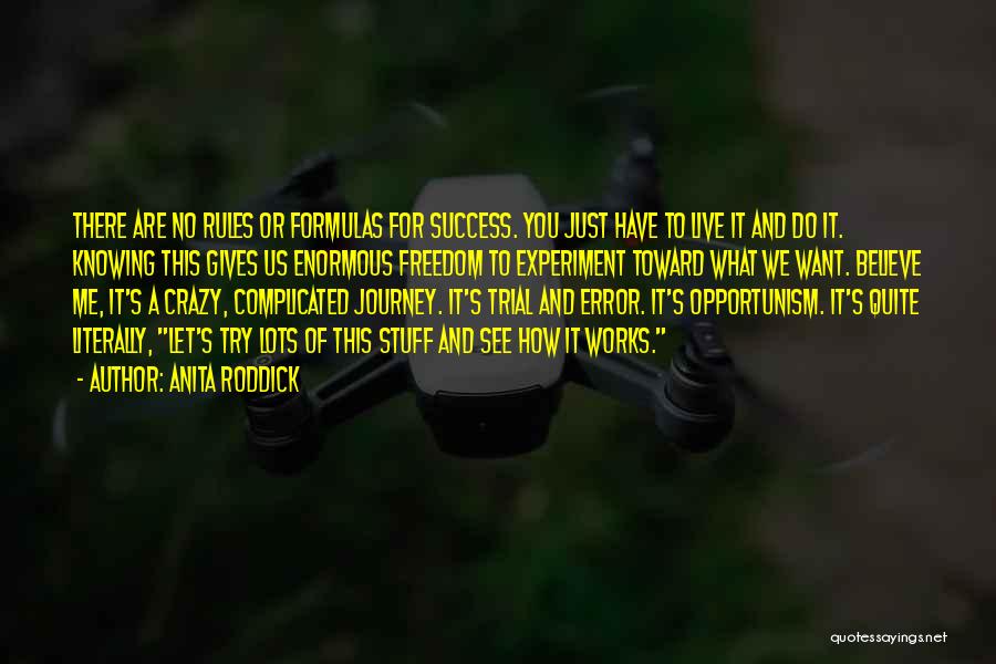 Anita Roddick Quotes: There Are No Rules Or Formulas For Success. You Just Have To Live It And Do It. Knowing This Gives