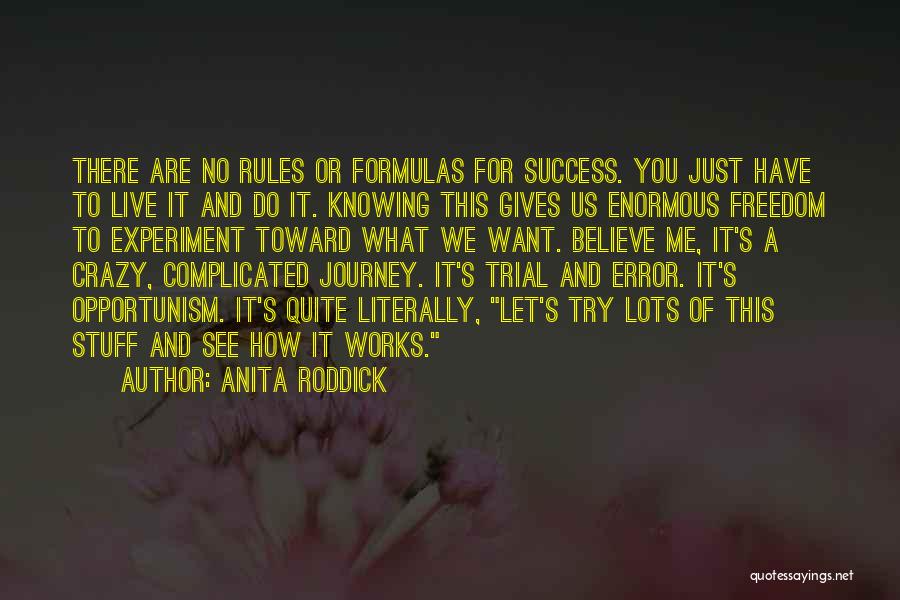 Anita Roddick Quotes: There Are No Rules Or Formulas For Success. You Just Have To Live It And Do It. Knowing This Gives