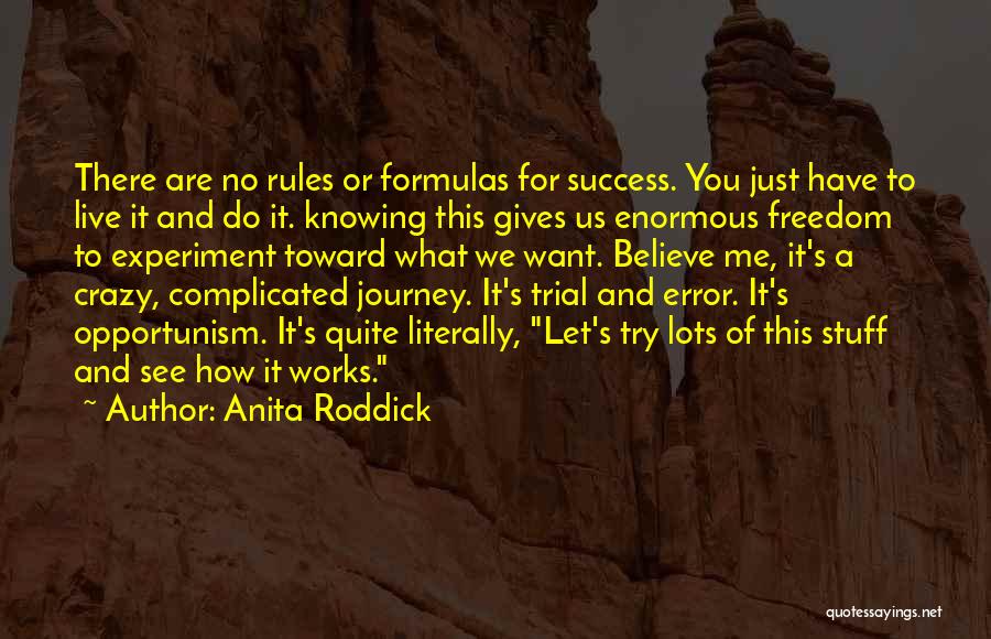 Anita Roddick Quotes: There Are No Rules Or Formulas For Success. You Just Have To Live It And Do It. Knowing This Gives