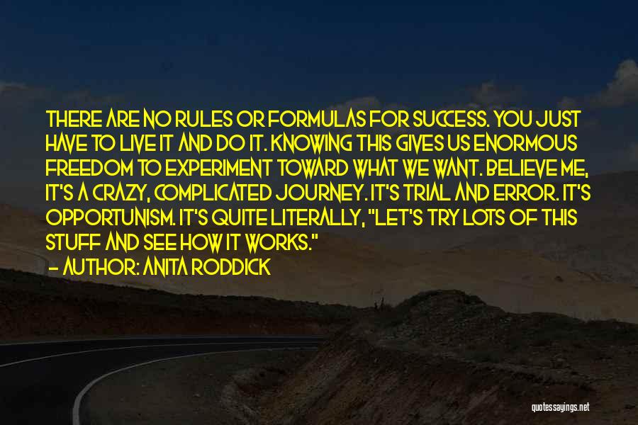 Anita Roddick Quotes: There Are No Rules Or Formulas For Success. You Just Have To Live It And Do It. Knowing This Gives