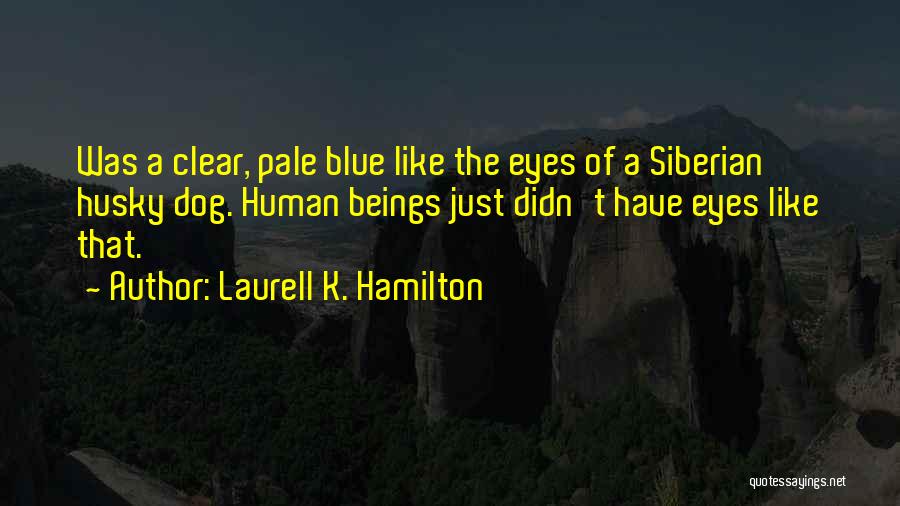 Laurell K. Hamilton Quotes: Was A Clear, Pale Blue Like The Eyes Of A Siberian Husky Dog. Human Beings Just Didn't Have Eyes Like