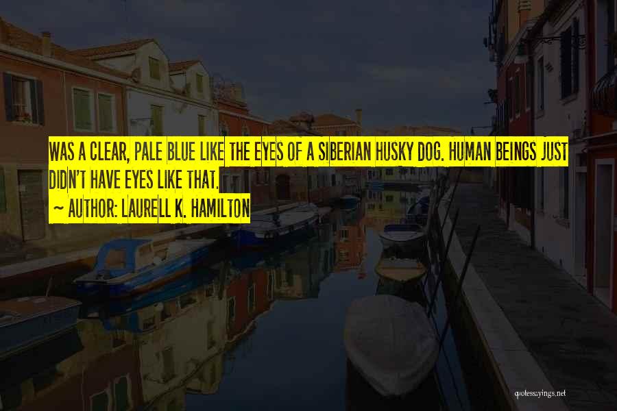 Laurell K. Hamilton Quotes: Was A Clear, Pale Blue Like The Eyes Of A Siberian Husky Dog. Human Beings Just Didn't Have Eyes Like