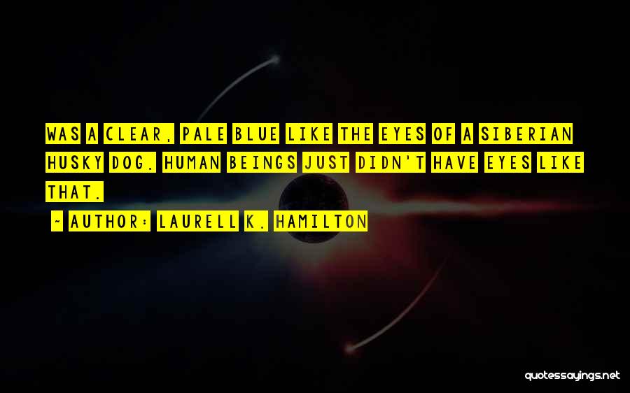 Laurell K. Hamilton Quotes: Was A Clear, Pale Blue Like The Eyes Of A Siberian Husky Dog. Human Beings Just Didn't Have Eyes Like