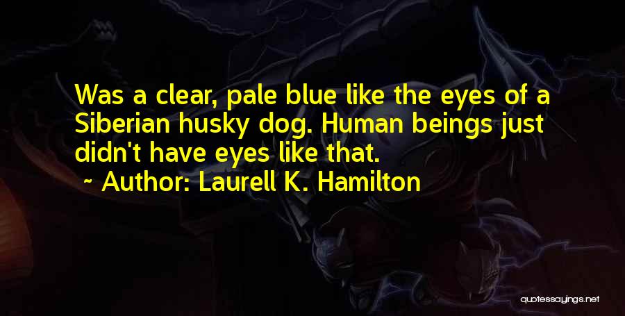 Laurell K. Hamilton Quotes: Was A Clear, Pale Blue Like The Eyes Of A Siberian Husky Dog. Human Beings Just Didn't Have Eyes Like